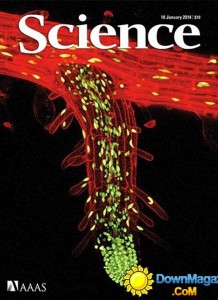 Science science