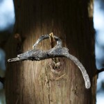 Part of an iron rapier handle was unearthed in the spring of 2015 at the Cape Creek site on Hatteras Island. Such weapons were used by Englishmen of high status. PHOTOGRAPH BY MARK THIESSEN