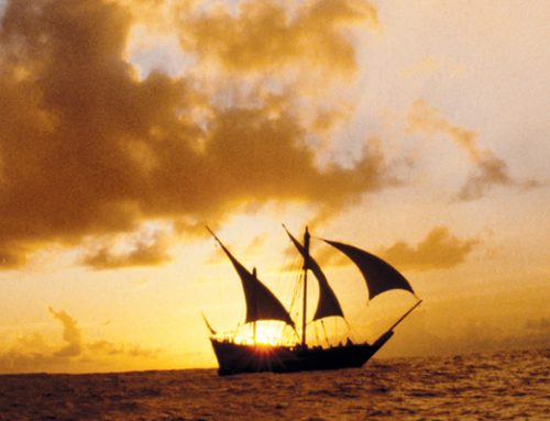 Sailing Sinbad’s seas